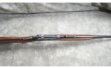 Winchester ~ Model 71 ~ .348 Win - 7 of 9