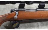 Remington ~ Model 700 BDL ~ .223 Rem - 3 of 9