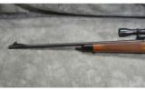 Winchester ~ Model 52 Sporter ~ .22 LR - 8 of 9