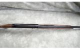 Armsan ~ Pointer ~ Special Buy ~ 20 and 28 gauge - 5 of 9
