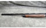 Armsan ~ Pointer ~ Special Buy ~ 20 and 28 gauge - 8 of 9