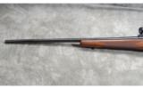 Winchester ~ Model 70 Super Grade ~ .270 Win - 8 of 9