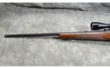 Winchester ~ Model 70 ~ .270 Win - 8 of 9