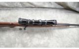 Winchester ~ 70 Classic Featherweight ~ .270 Win. - 5 of 9