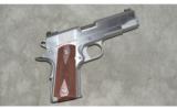 Dan Wesson ~ PM-C ~ Point Man - Carry ~ 9 mm ~ Special Buy - 1 of 4
