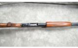Winchester ~ Model 12 ~ 20 Gauge - 6 of 9