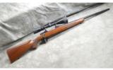 Ruger ~ M77 ~ .25-06 Remington - 1 of 9