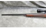 Winchester ~ Model 70 ~ .30-06 Springfield - 8 of 9