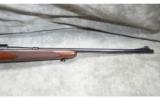 Winchester ~ Model 70 ~ YOM 1949 ~ .270 Win. - 4 of 9