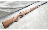 Steyr-Mannlicher ~ STM KK ~ .22 Long Rifle - 1 of 9