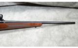 Winchester ~ Model 70 ~ .243 Winchester - 4 of 9
