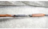 Remington ~ Model 141 ~ .35 Remington - 5 of 8