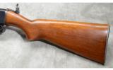 Remington ~ Model 141 ~ .35 Remington - 8 of 8