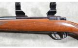 Ruger ~ M77 ~ 7MM Rem. Mag. - 7 of 8