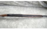 Armsan ~ Pointer ~ Special Buy ~ 20 and 28 gauge - 5 of 11