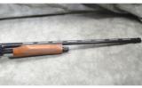 Armsan ~ Pointer ~ Special Buy ~ 20 and 28 gauge - 4 of 11