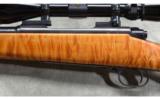 Winchester ~ Model 70 ~ Featherweight ~ .243 Winchester - 9 of 11