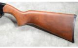 Winchester ~ Model 190 ~ .22 S,L,LR - 7 of 7