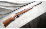Winchester ~ Model 131 ~ .22 Long Rifle - 1 of 8