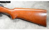 Remington ~ Model 722 ~ .244 Rem. - 9 of 9