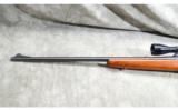 Remington ~ Model 722 ~ .244 Rem. - 7 of 9