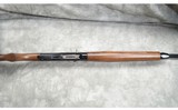 Armsan ~ Pointer ~ Special Buy ~ 20 and 28 gauge - 6 of 11