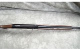 Armsan ~ Pointer ~ Special Buy ~ 20 and 28 gauge - 5 of 11
