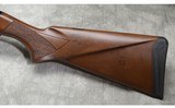 Armsan ~ Pointer ~ Special Buy ~ 20 and 28 gauge - 10 of 11