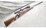 Ruger ~ 77/17 ~ .17 HMR - 1 of 10