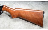 REMINGTON ~ 572 ~ .22 S L LR - 10 of 11