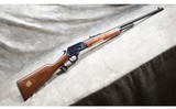 MARLIN ~ 1894CL ~ .25-20 WINCHESTER - 1 of 11