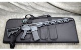 WISE ARMS LLC ~ B-15 ~ .300 AAC BLACKOUT - 12 of 12