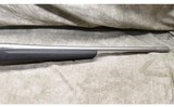 REMINGTON ~ 700 ~ .17 REMINGTON - 4 of 11