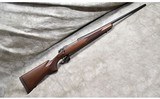 REMINGTON ~ 700 ~ .300 WINCHESTER MAGNUM - 1 of 11