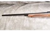 REMINGTON ~ 700 ~ .375 H&H MAGNUM - 8 of 11