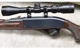Remington ~ Nylon 66 ~ .22 Long Rifle - 9 of 11