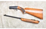 Browning ~ Auto-22 ~ .22 Long Rifle - 13 of 13