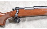 Remington ~ 700 ~ .243 Winchester - 3 of 11
