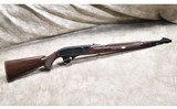 Remington ~ Nylon 66 ~ .22 Long Rifle - 1 of 11