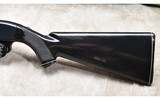 Remington ~ Nylon 66 ~ .22 Long Rifle - 10 of 11