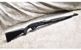 Remington ~ Nylon 66 ~ .22 Long Rifle - 1 of 11