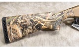 Stoeger ~ M3500 ~ 12 Gauge - 2 of 11