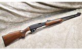 Remington ~ 572 Fieldmaster ~ .22 S, L, or LR - 1 of 11