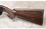 Remington ~ 10C ~ .22 Long Rifle - 10 of 11