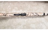 Ruger ~ 10/22 ~ .22 Long Rifle - 6 of 11