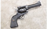 RUGER ~ BLACKHAWK ~ .45 LONG COLT/.45 ACP - 1 of 4