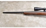 Ruger ~ Model 77/17 ~ .17 HMR - 8 of 11
