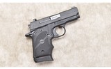 Sig Sauer ~ P938 ~ 9mm Luger - 1 of 11