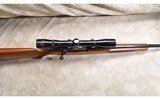 Ruger ~ M77 ~ .243 Winchester - 5 of 11