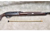 Remington ~ Nylon 66 ~ .22 Long Rifle - 12 of 12